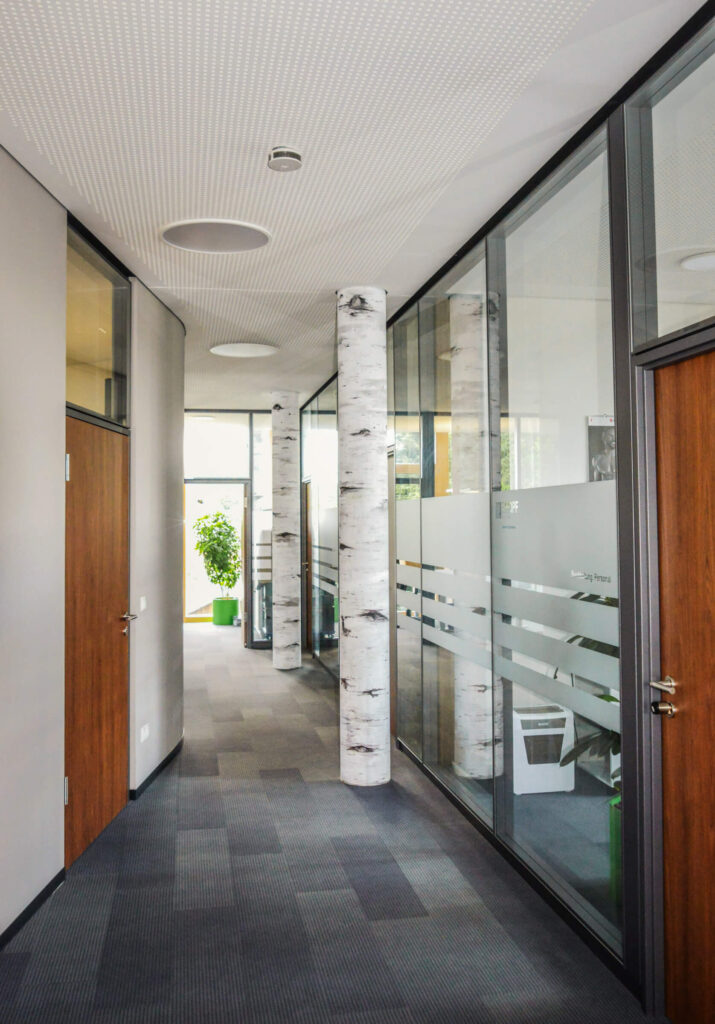 Flur mit Birkenstämmen bei Kropf Solutions